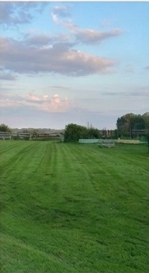 Freshly mowed grass field under a pastel evening sky